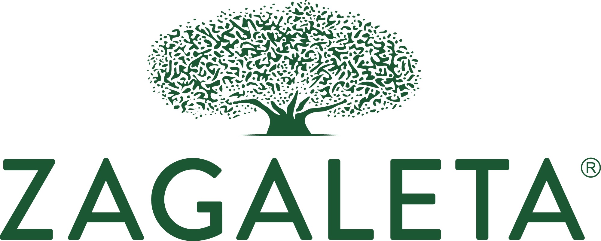 Logo de la empresa